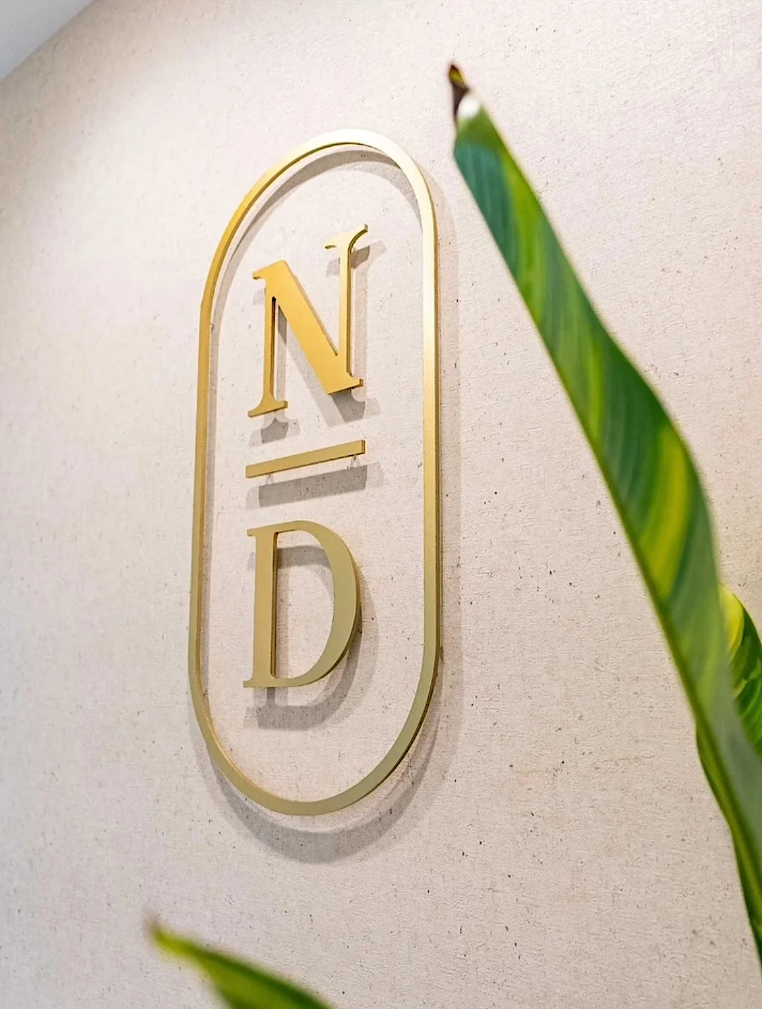Nutridentist — Monograma N/D dorado dentro de un óvalo sobre una pared texturizada, detrás de una hoja de planta